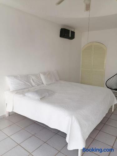 WhatsApp Image 2026-01-11 at 7